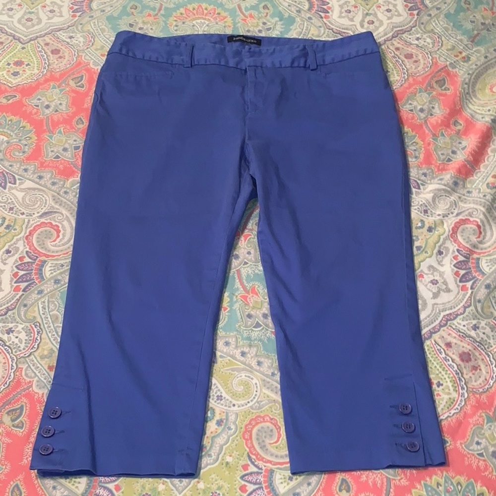 Royal Blue Cropped Khakis | Work Pants